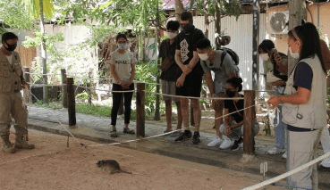 Centre APOPO HeroRATs